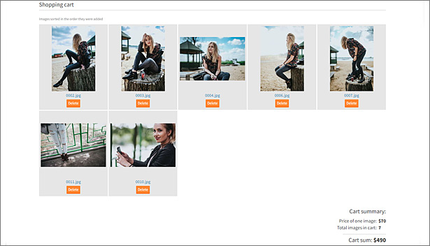 Shopping cart - online ordering system plugin for Photo Selector - 3
